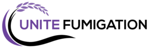 Logo without background